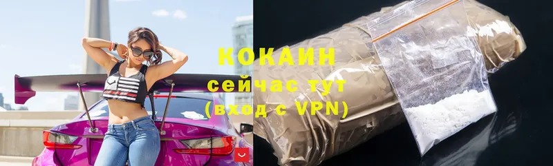 COCAIN Fish Scale Кашин