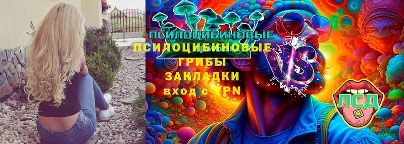 закладка  KRAKEN вход  Галлюциногенные грибы Cubensis  Кашин 